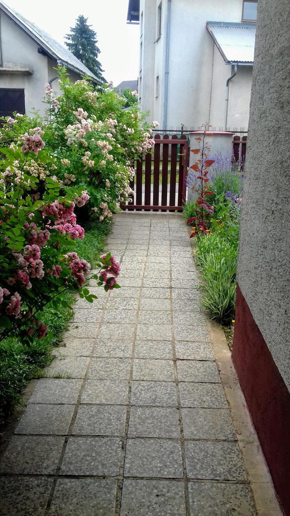 Holiday Home Nena Korenica Exterior foto